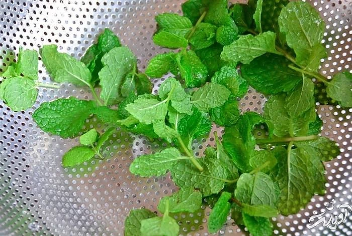 خشک کردن نعناع در فر